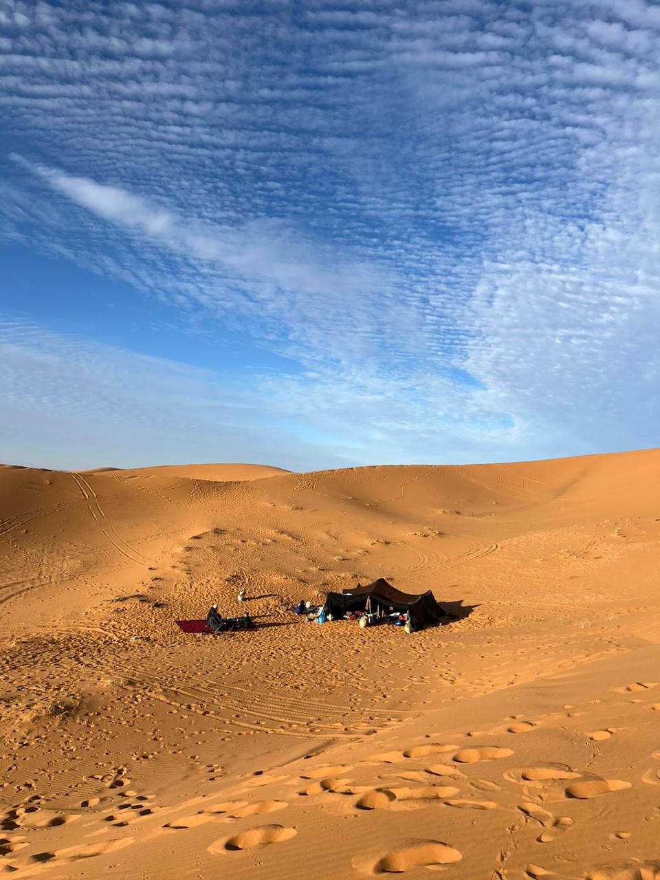 9464f7ba-2f93-4001-8288-906d3f72ff41 (1)