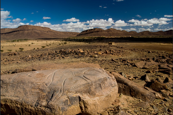 Gravures_Repustres_visitmerzougamorocco