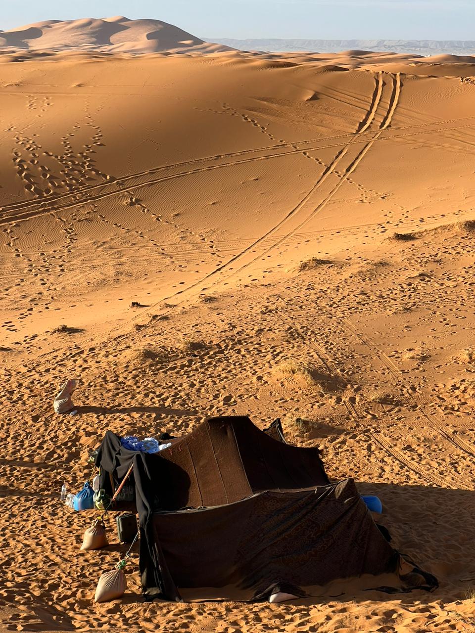 WhatsApp_Image_2024-03-13_at_20.01.05 (1)