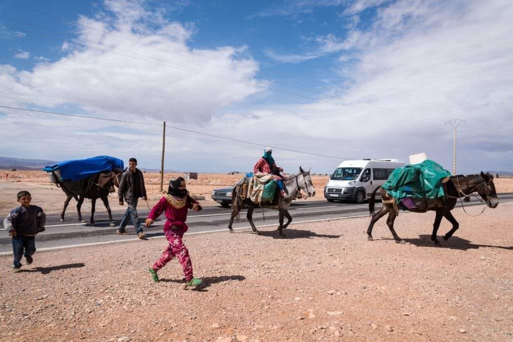 nomadevisitmerzougamorocco (1)