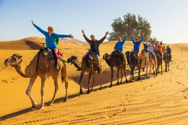 Merzouga, Morocco - October 28, 2022. Tuareg leading camel train on sand dunes in the desert, Merzouga, Erg Chebbi sand dunes region, Sahara, Morocco.