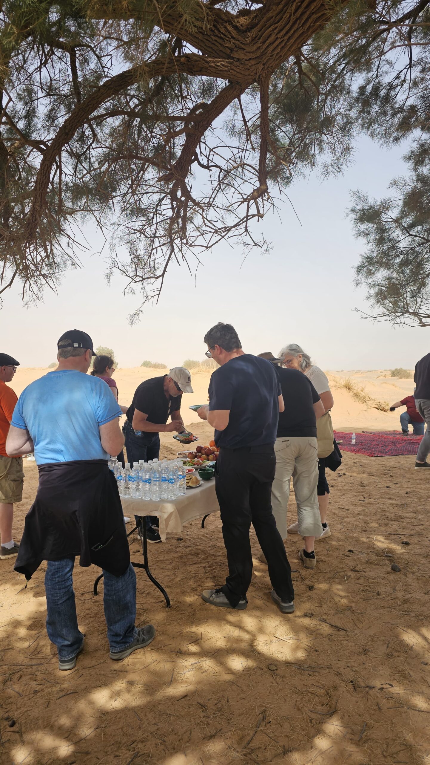 visitmerzougamorocco_Oasis_sauvage