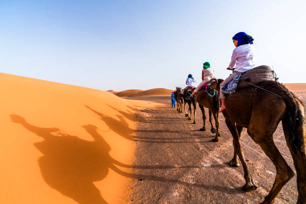 Tourists riding camels at the Erg Chebbi dunes, Merzouga, Sahara Desert, Morocco