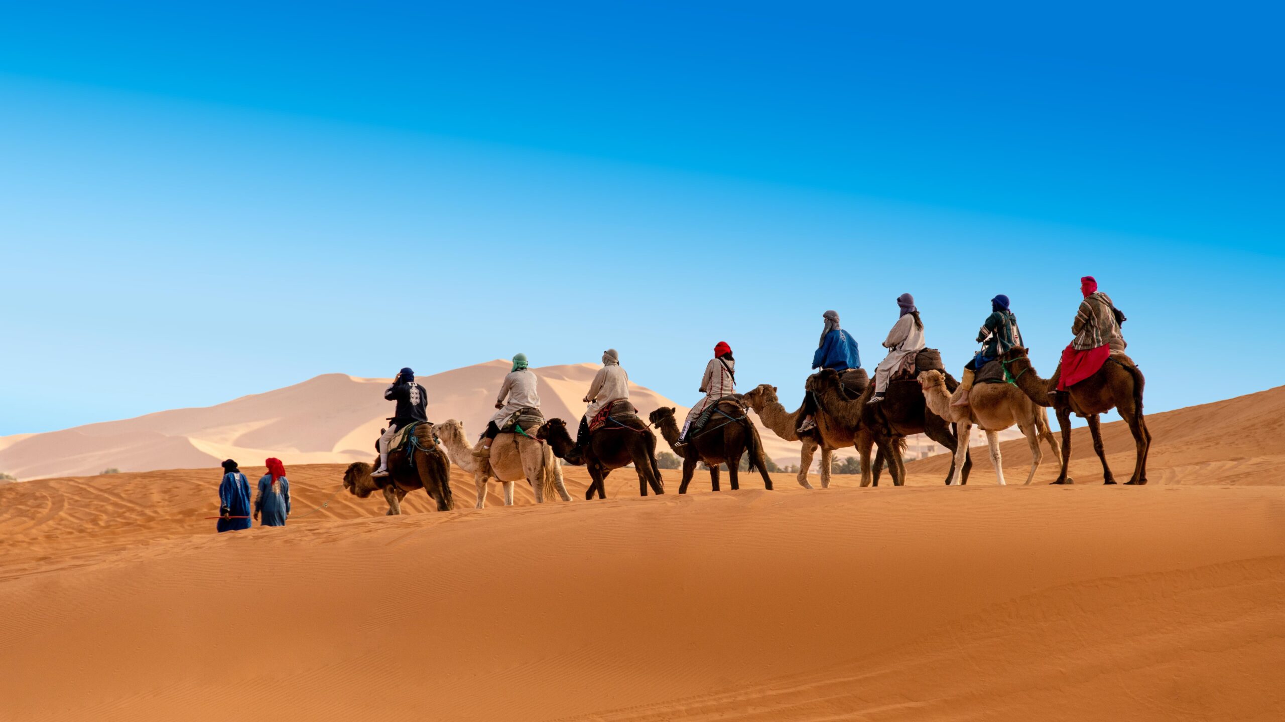 visitmerzougamorocco_dromadaire1_-_Copie